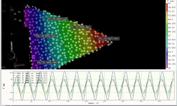 DIC result of flexible fin deformation